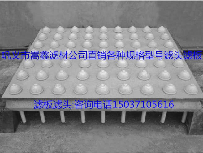 �V�^���V�����Vñ